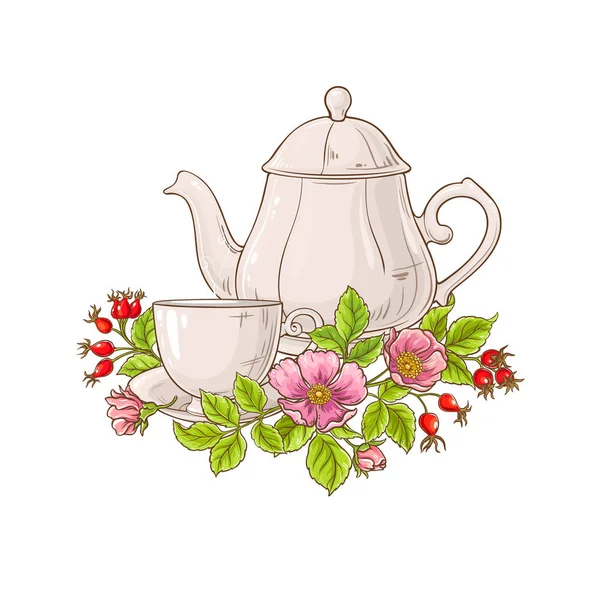 Wild Rose Tea Illustration Auf Weißem Hintergrund — Stockvektor