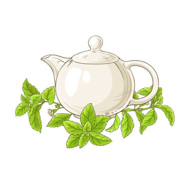 Stevia çay resimde beyaz arka plan üzerinde