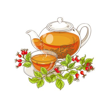 Beyaz arka plan üzerinde yabani gül çay illüstrasyon