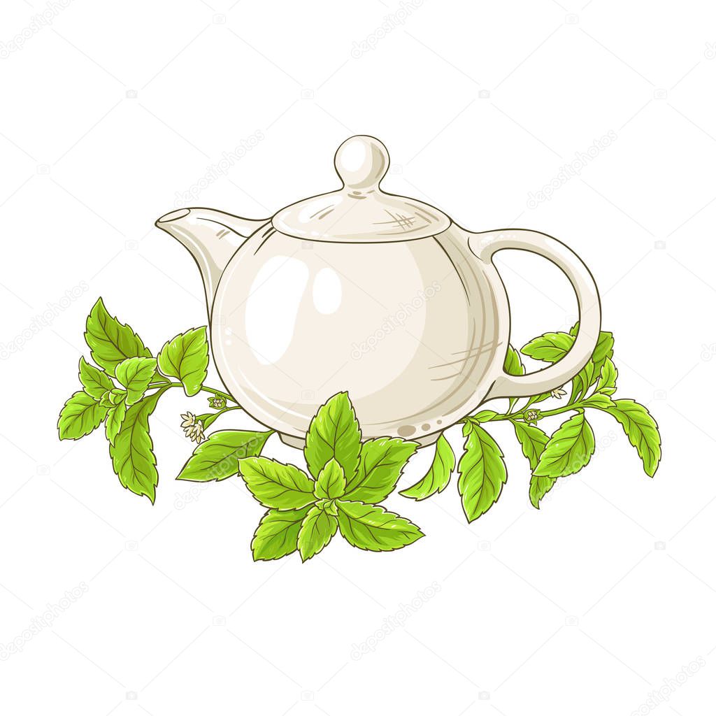 stevia tea illustration on white background