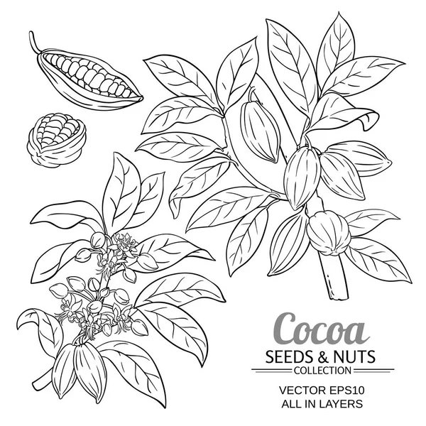 Cocoa Plant Vector Set White Background — Stock Vector