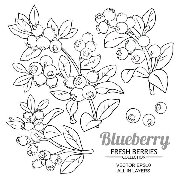 Blueberry Plant Vector Ingesteld Witte Achtergrond — Stockvector