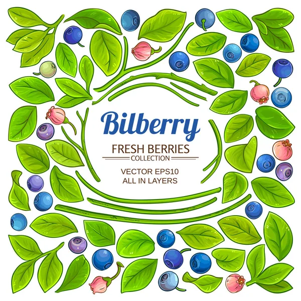 Bilberry Elements Vector Set White Background — Stock Vector