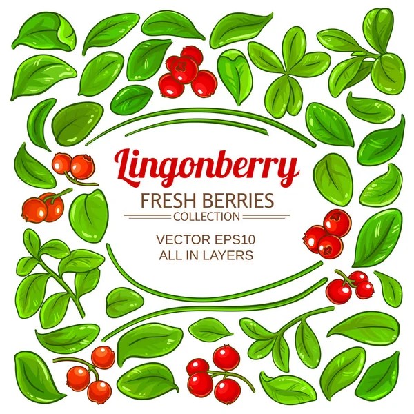 Lingonberry Elements Vector Set White Background — Stock Vector