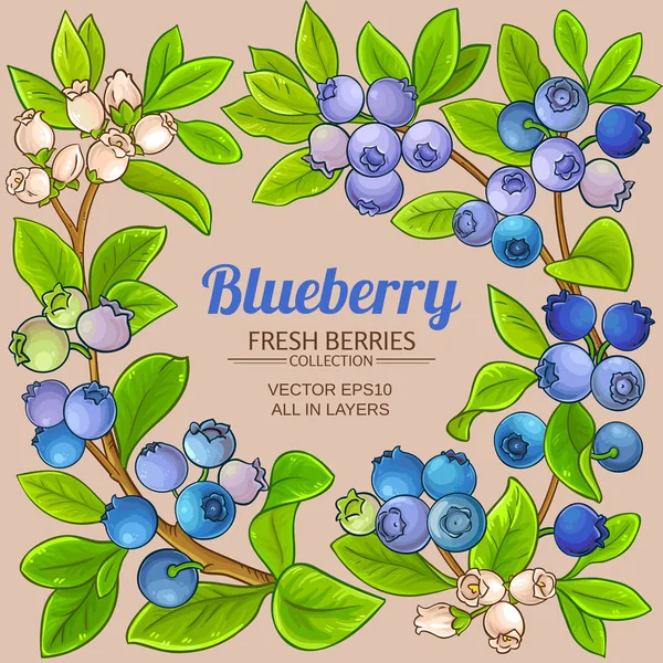 Bingkai Vektor Blueberry Pada Latar Belakang Warna - Stok Vektor