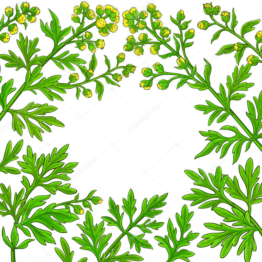 wormwood vector frame on white background