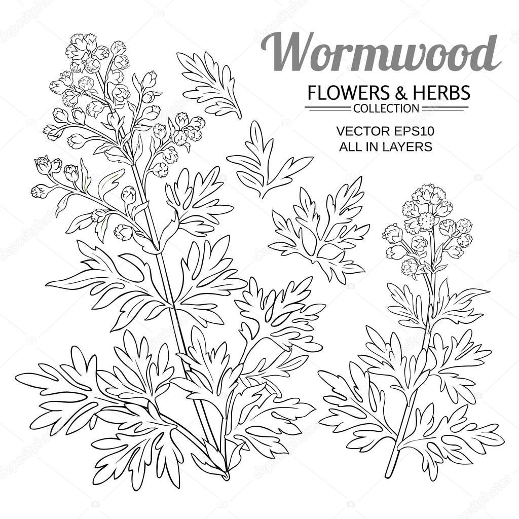 wormwood vector set on white background