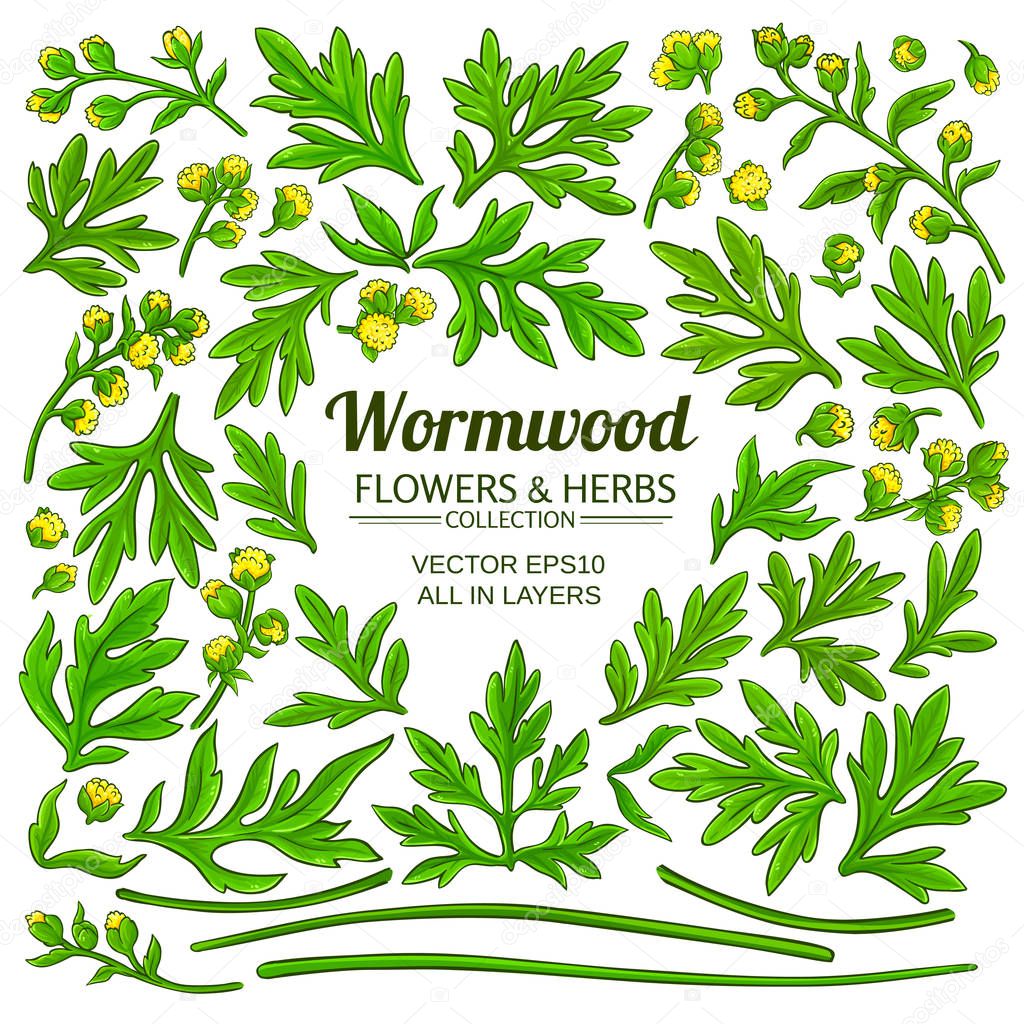 wormwood elements set on white background