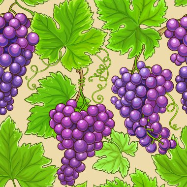 üzüm desen renk arka plan üzerinde vektör