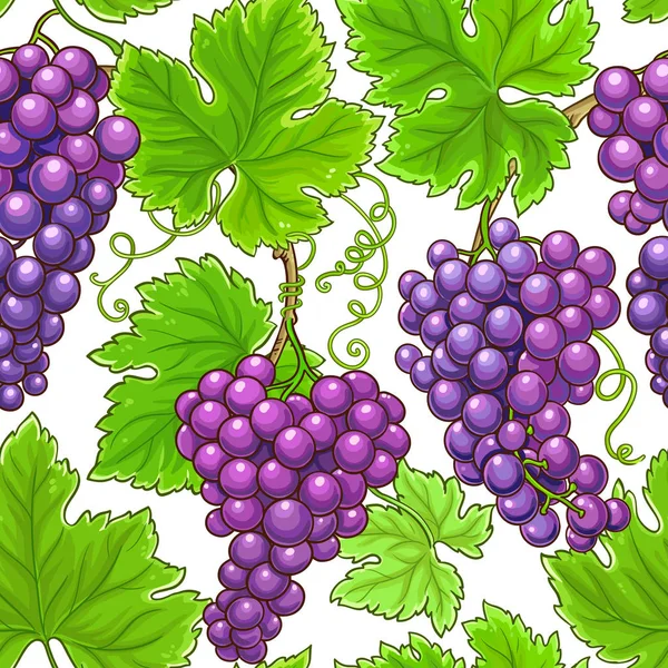 Patrón Vector Uvas Sobre Fondo Blanco — Archivo Imágenes Vectoriales