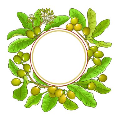 Shea vektör çerçeve beyaz arka plan üzerinde