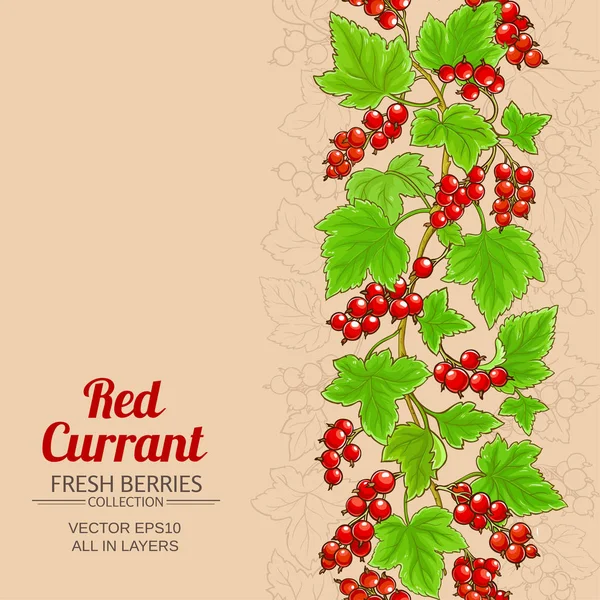 Modello Ribes Rosso Sfondo Colore — Vettoriale Stock