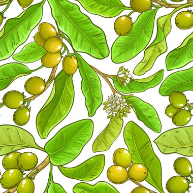 Shea vektör desen beyaz arka plan üzerinde