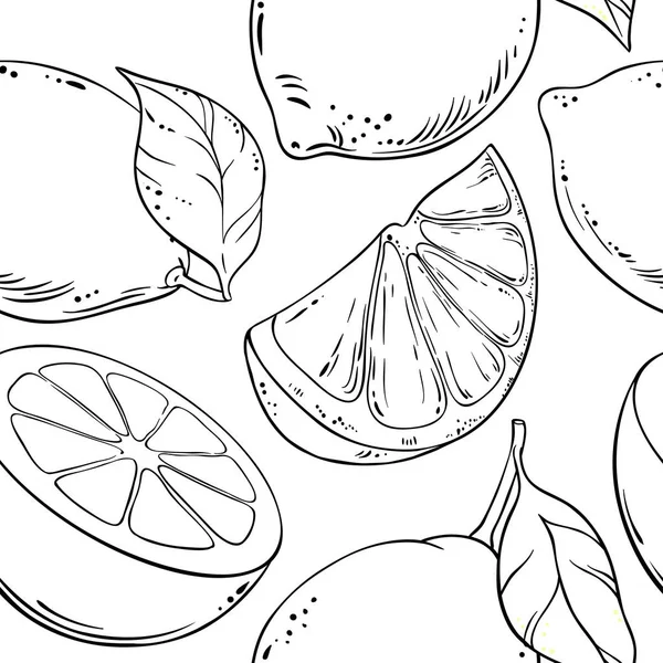 Limón Fruta Vector Patrón Sobre Fondo Blanco — Vector de stock