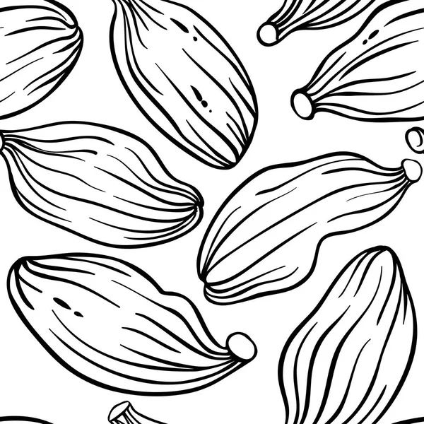 Graines Cardamome Motif Vectoriel Sur Fond Blanc — Image vectorielle