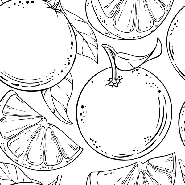 Orange Motif Vecteur Fruits Sur Fond Blanc — Image vectorielle
