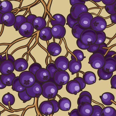 desen renk arka plan üzerinde siyah üvez meyveleri vektör