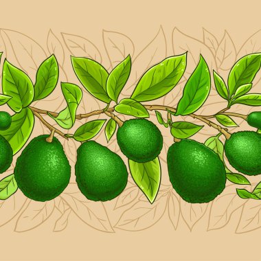 Avokado vektör desen