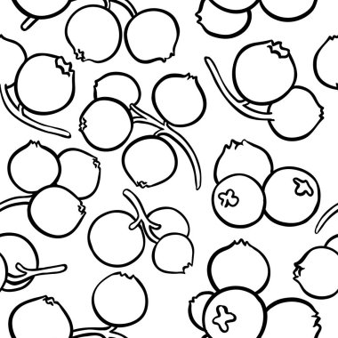 kızılcık çilek vektör desen beyaz arka plan üzerinde