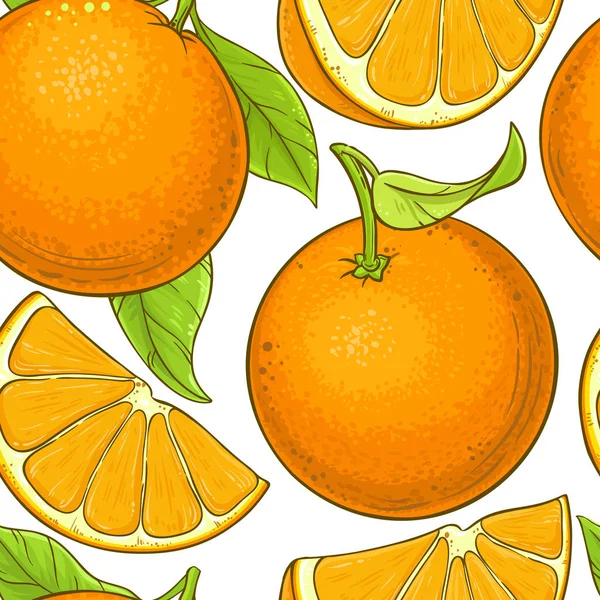 Orange Fruit Vector Pattern White Background — Stock Vector