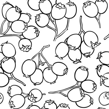 Beyaz arka plan üzerinde alıç çilek vektör şekli