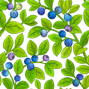 Bilberry vektör desen beyaz arka plan üzerinde