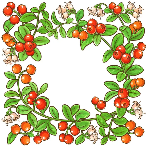 Cranberry Tak Vector Frame Witte Achtergrond — Stockvector