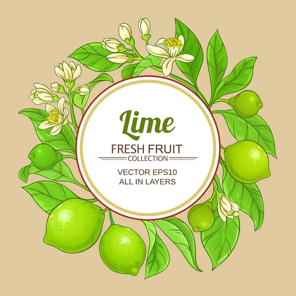 Cadre Vectoriel Lime Sur Fond Couleur — Image vectorielle