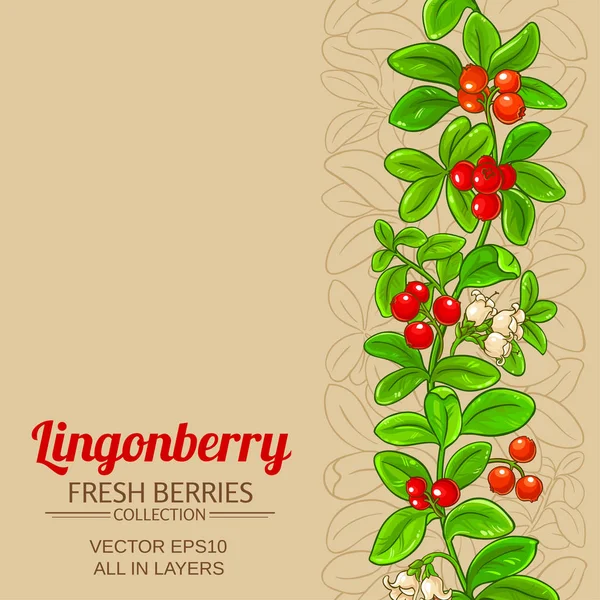 Pola Vektor Lingonberry Pada Latar Belakang Warna - Stok Vektor