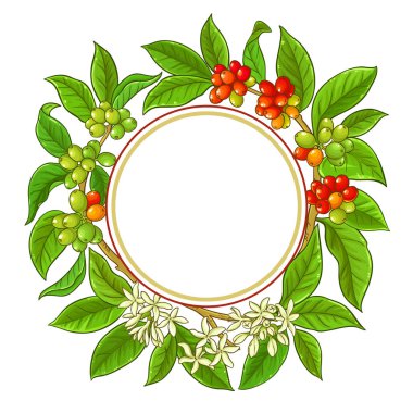 kahve vektör çerçeve