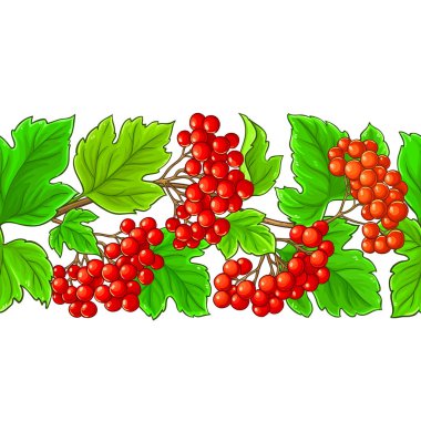 guelder gül vektör desen