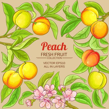 Şeftali vektör çerçeve