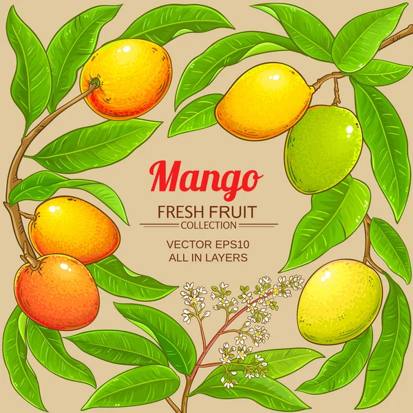 Mango vector frame — Stockvector