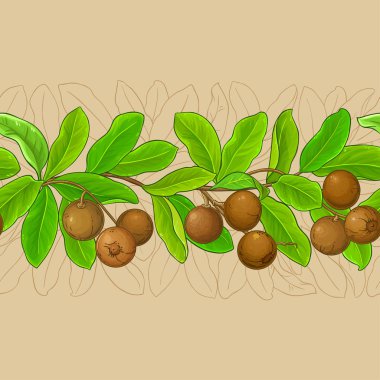 Brezilya somun modeli