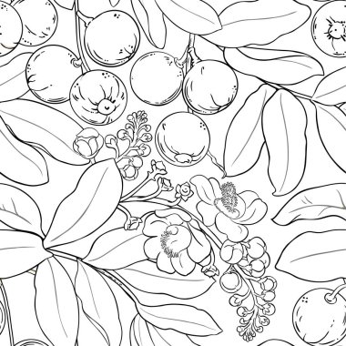 Brezilya somun modeli