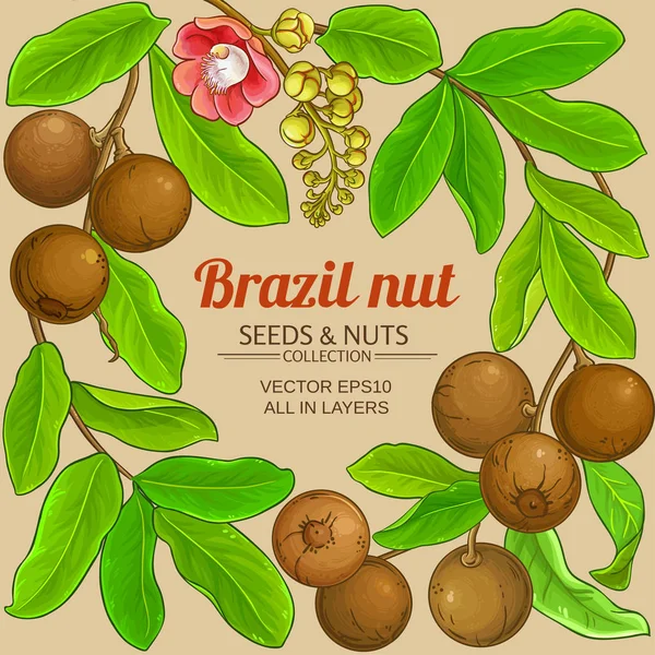Quadro de ramos de castanha do brasil — Vetor de Stock