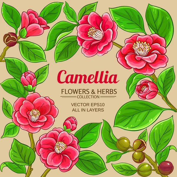Camellia vektor ram — Stock vektor