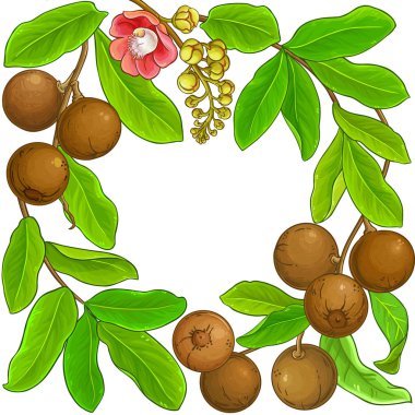 Brezilya somun dalları çerçeve