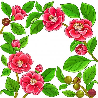 Camellia vektör çerçeve