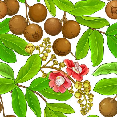 Brezilya somun modeli