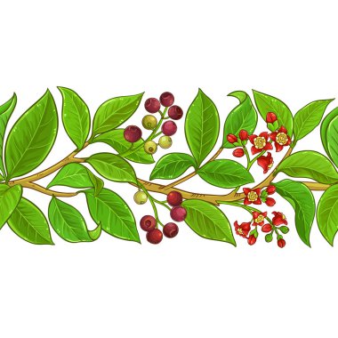 sandal ağacı vektör deseni