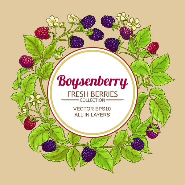 Boysenberry telaio vettoriale — Vettoriale Stock
