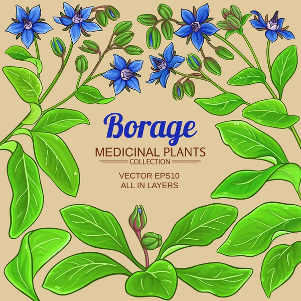 Moldura vetorial borage —  Vetores de Stock