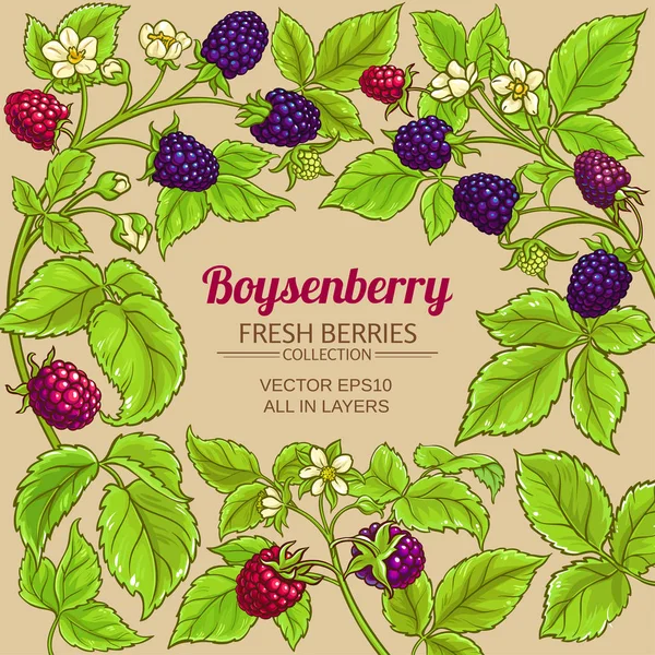 Boysenberry ramka wektorowa — Wektor stockowy