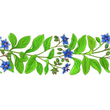 borago vektör deseni
