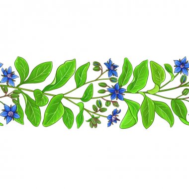 borago vektör deseni