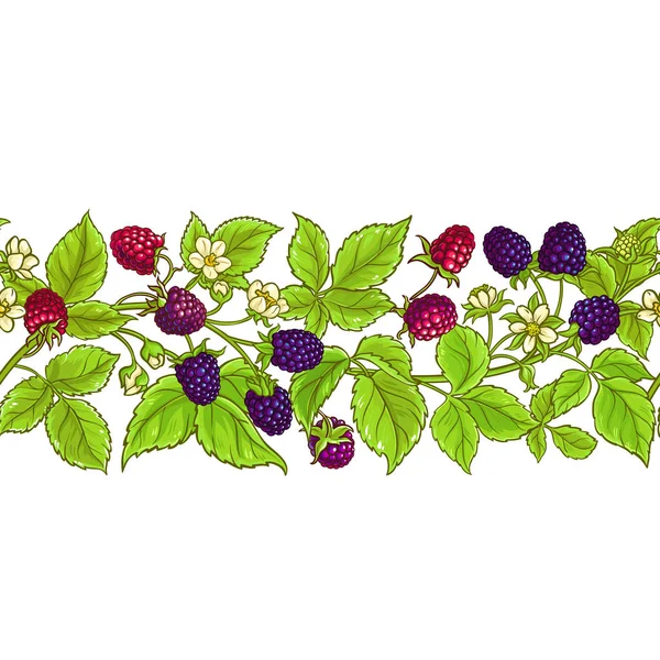 Boysenberry-Vektormuster — Stockvektor