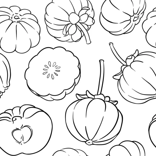 Motif vectoriel garcinia — Image vectorielle