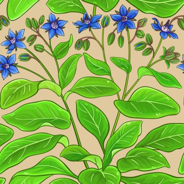 borago vektör deseni