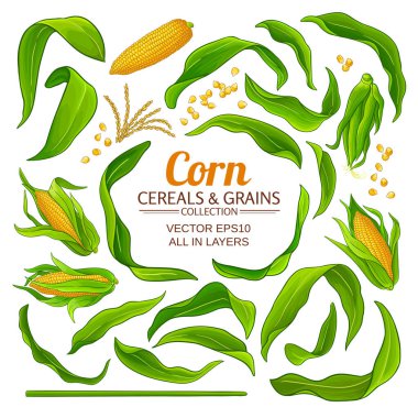 mısır ögeleri belirlendi